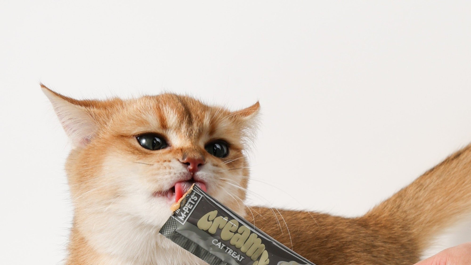 Functional snacks for cats: more than just a tasty treat