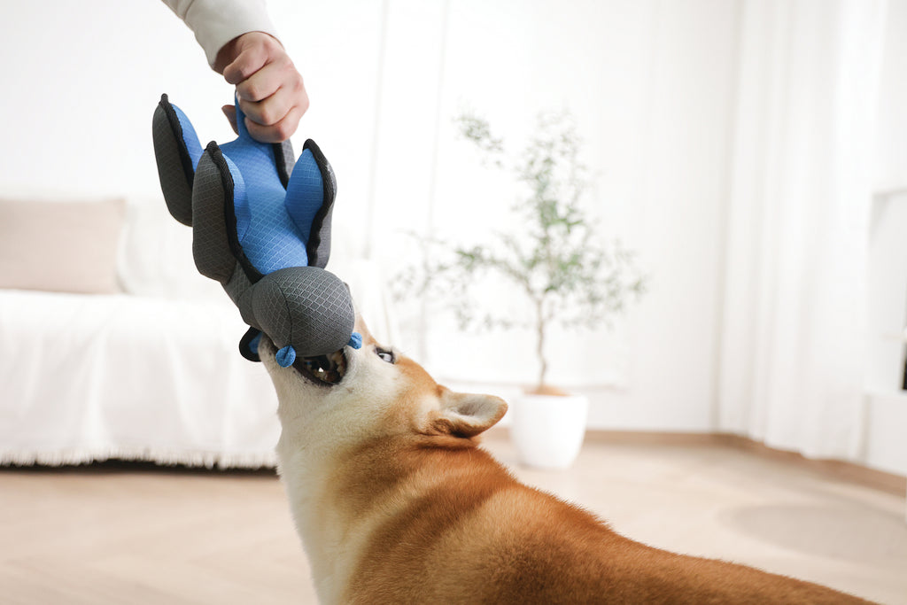 MEGA Dog toy Hippopotamus