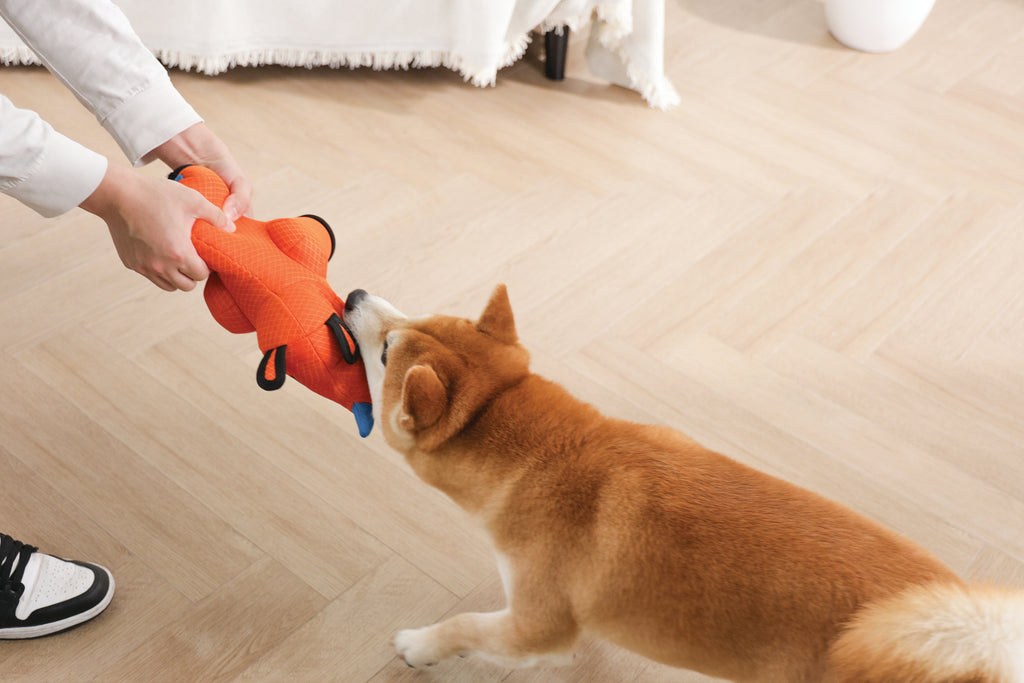 MEGA Dog toy Rhinoceros