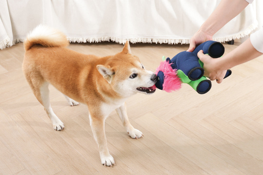 MEGA Dog toy Buffalo