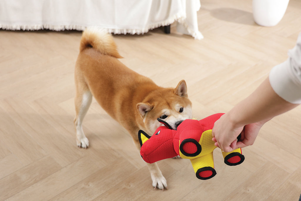 MEGA Dog toy Wild boar