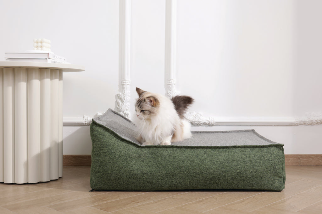 CLOUD Inflatable cushion Forest Fog