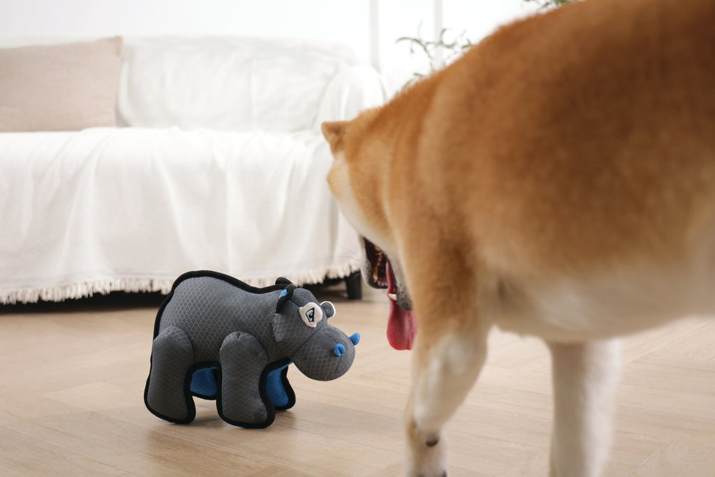 MEGA Dog toy Hippopotamus