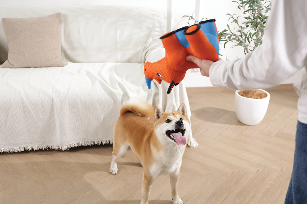 MEGA Dog toy Rhinoceros