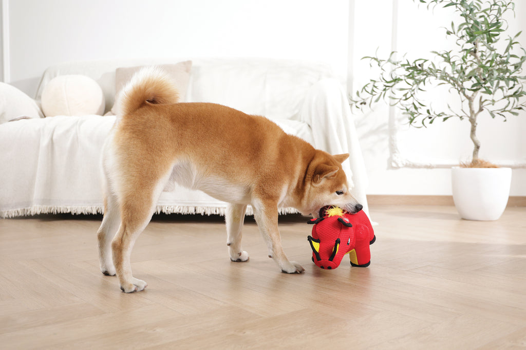 MEGA Dog toy Wild boar