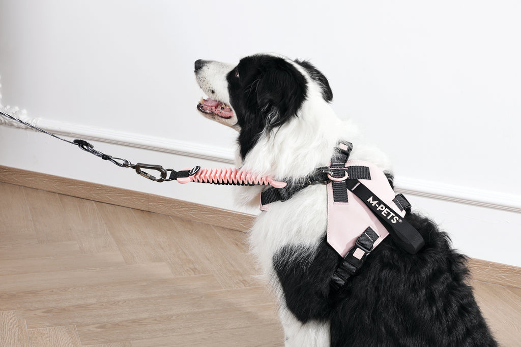 PULL POWER Shock absorber Strike Pink