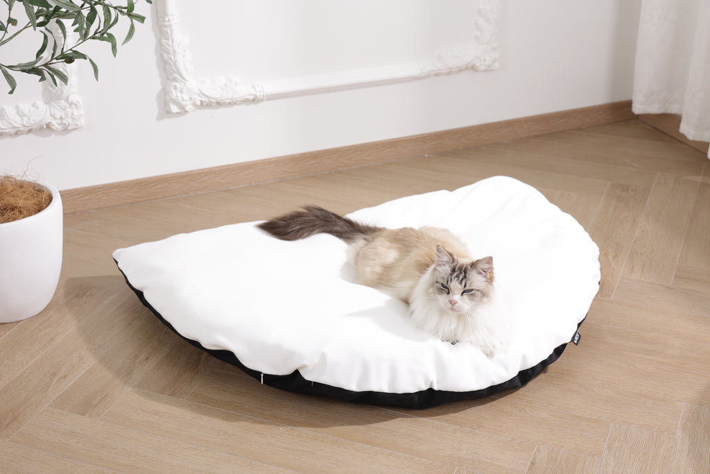 SWEET DREAMS triangle cushion black&white