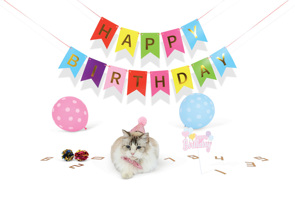 PARTY TIME Cat Lady's set