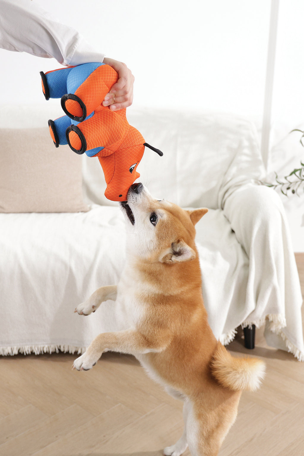 MEGA Dog toy Rhinoceros