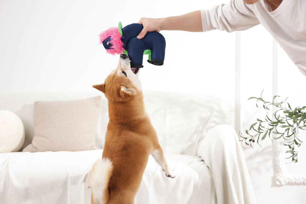 MEGA Dog toy Buffalo