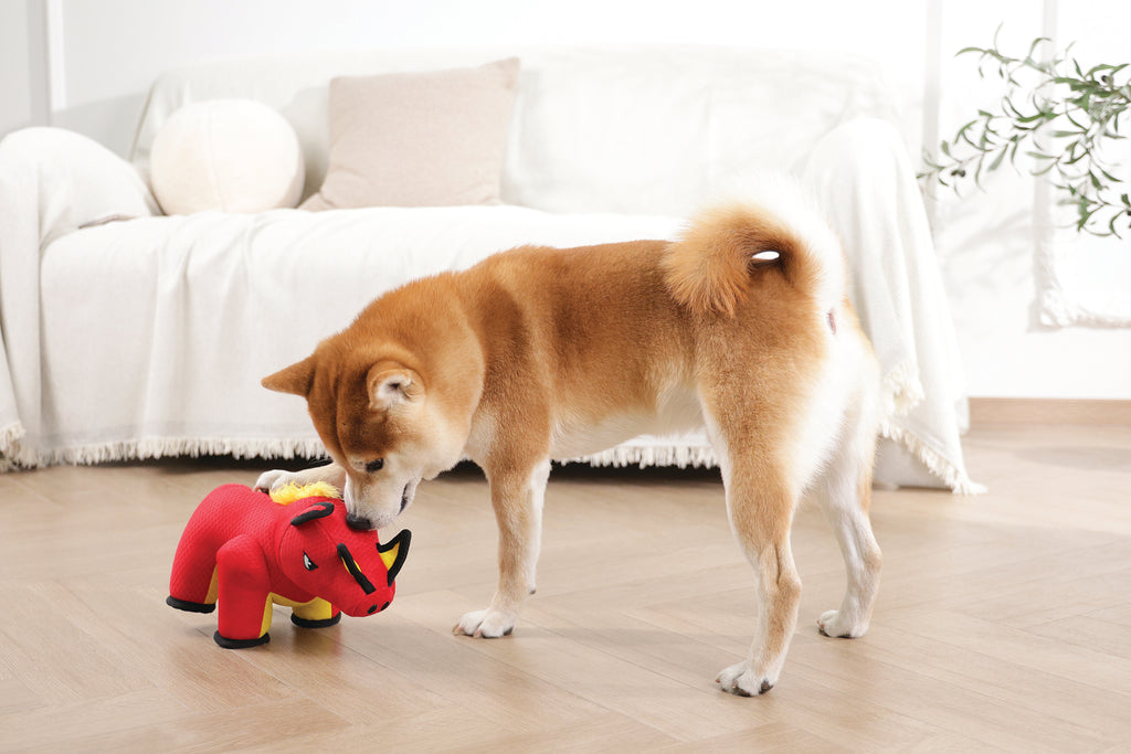 MEGA Dog toy Wild boar