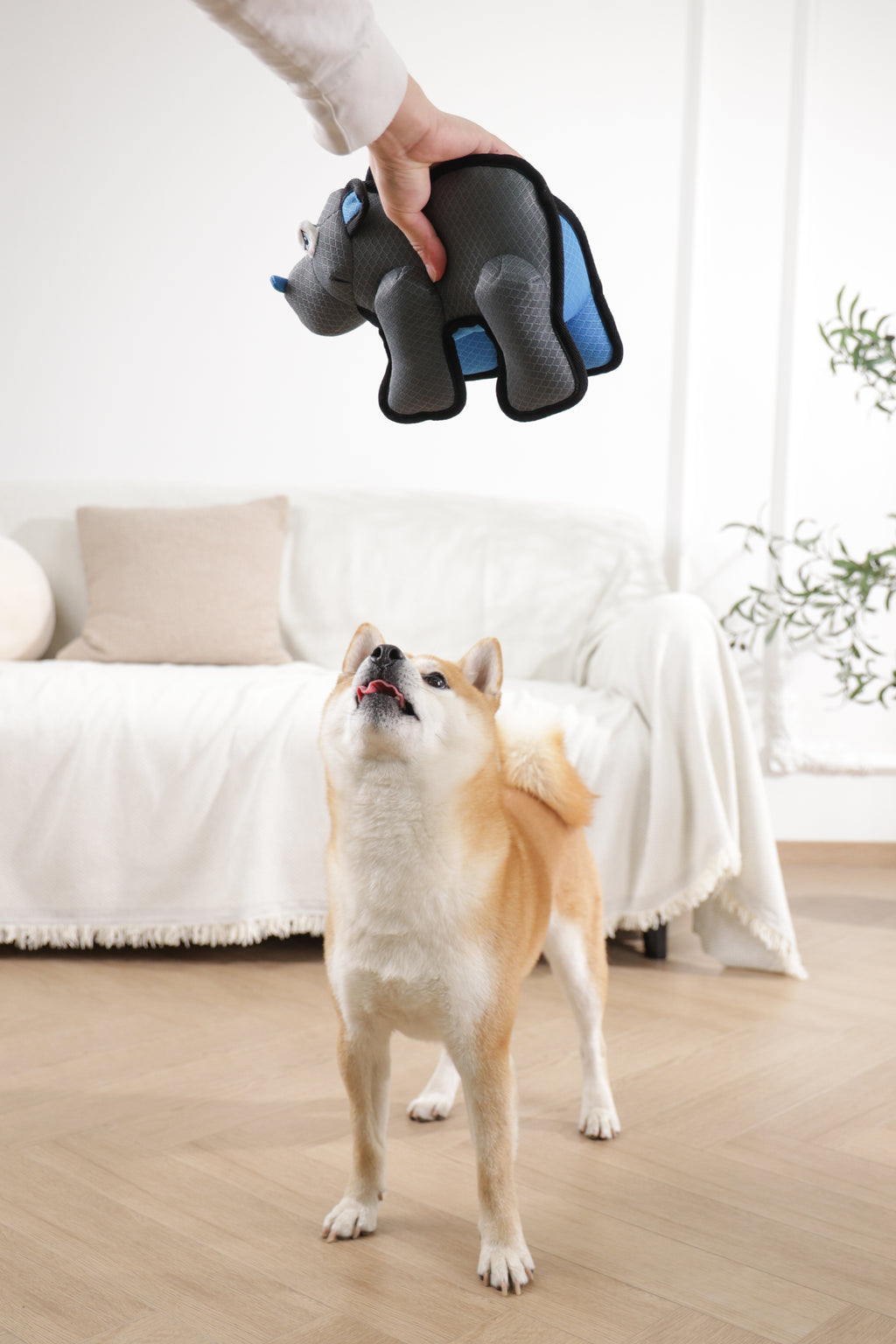 MEGA Dog toy Hippopotamus