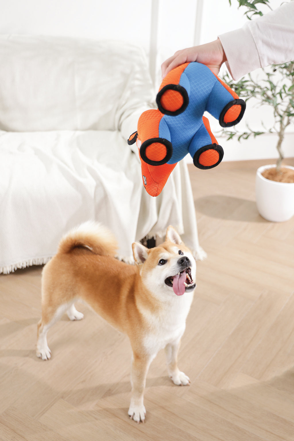 MEGA Dog toy Rhinoceros