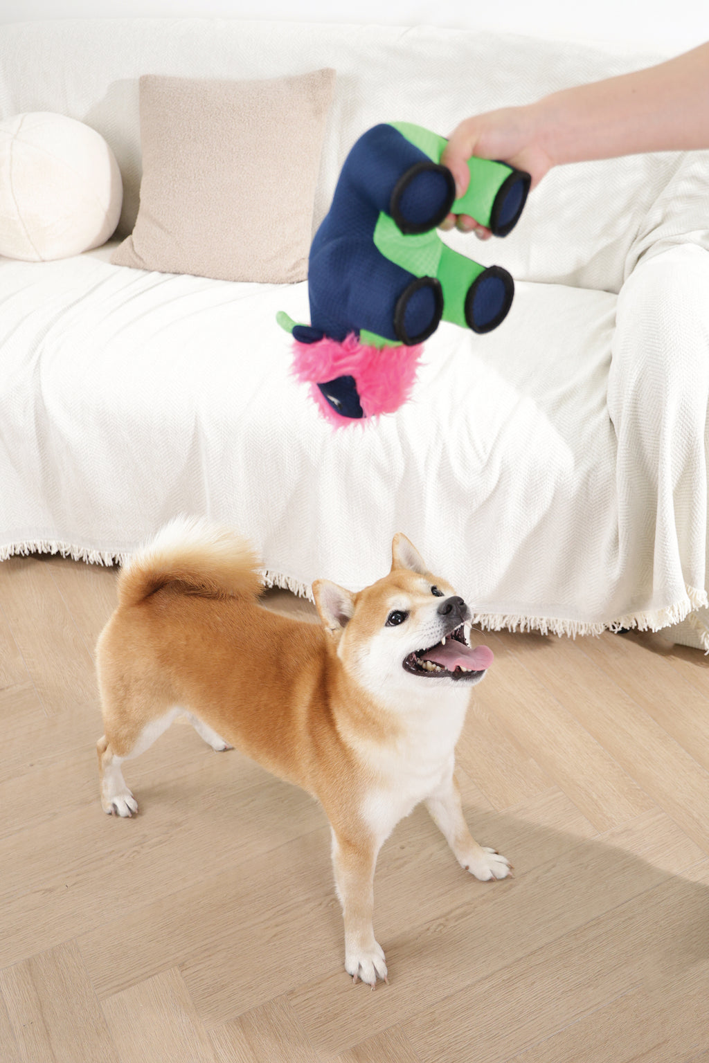 MEGA Dog toy Buffalo