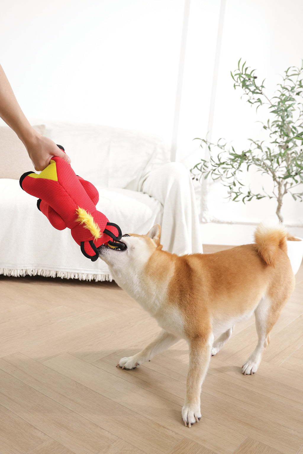 MEGA Dog toy Wild boar