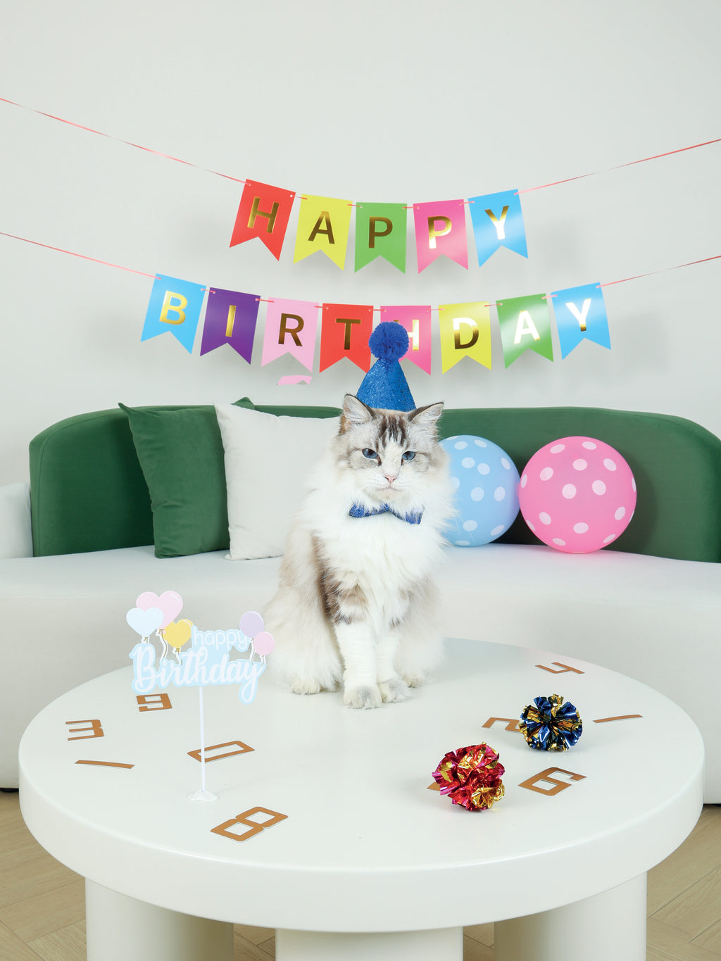 PARTY TIME Cat Gentleman's set