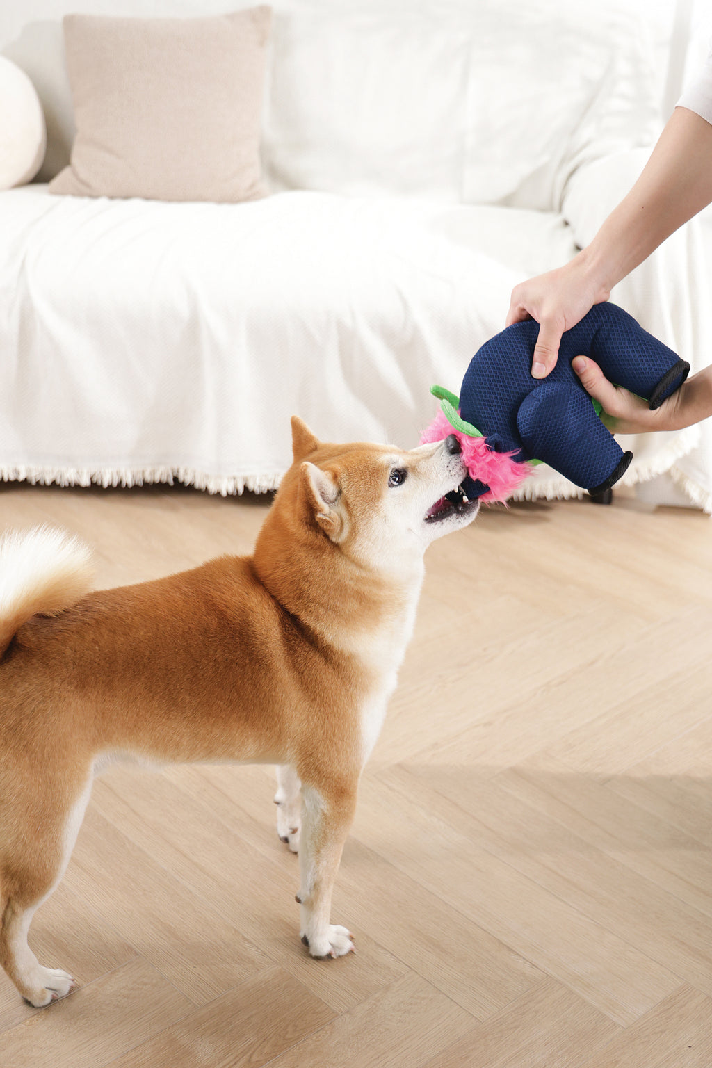 MEGA Dog toy Buffalo