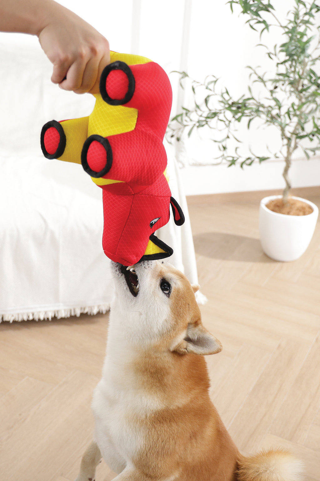 MEGA Dog toy Wild boar