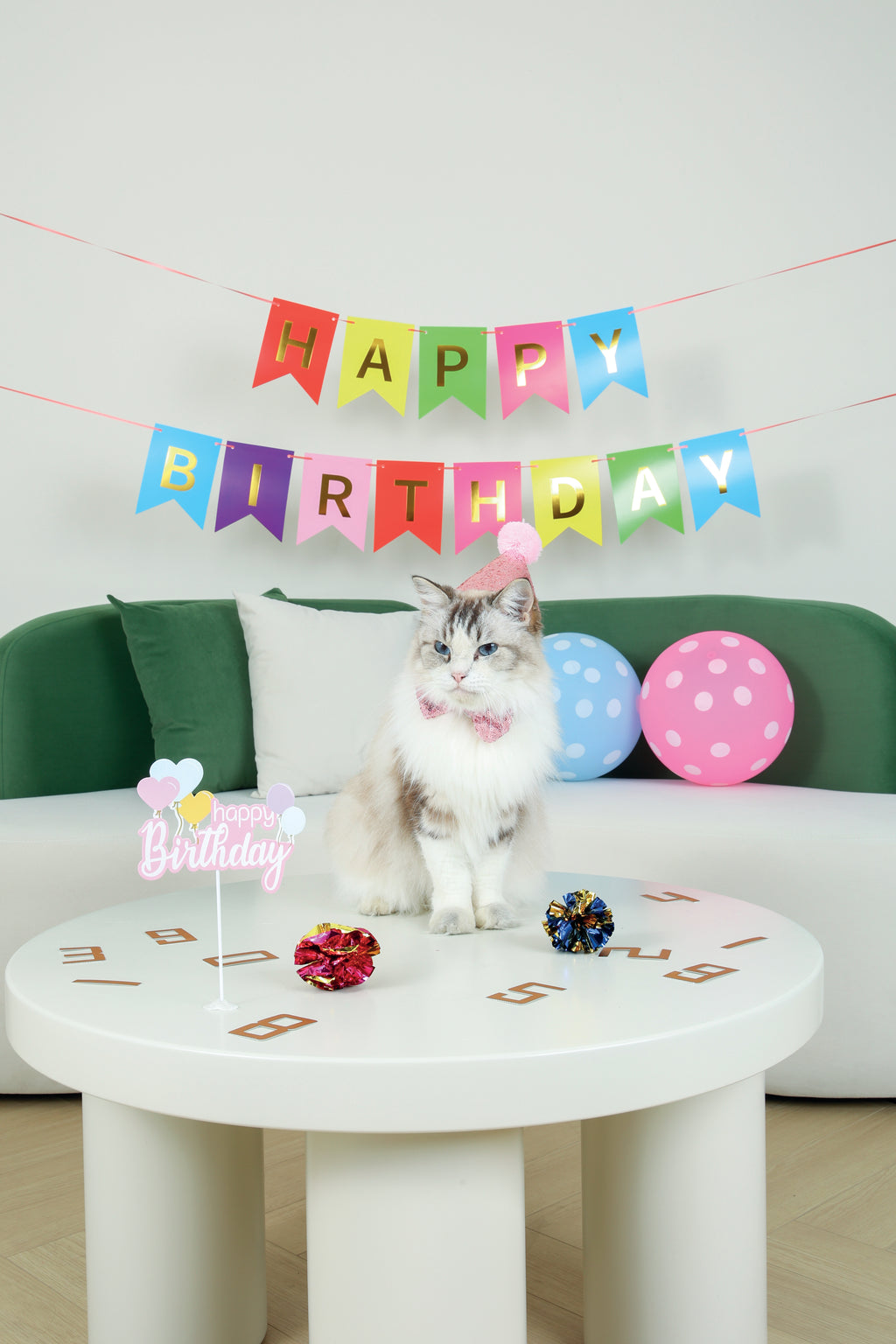 PARTY TIME Cat Lady's set