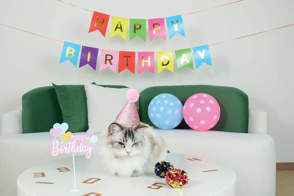 PARTY TIME Cat Lady's set