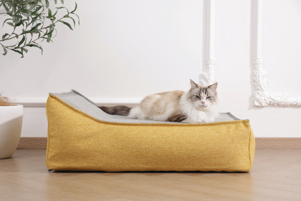 CLOUD Inflatable cushion Golden Mist