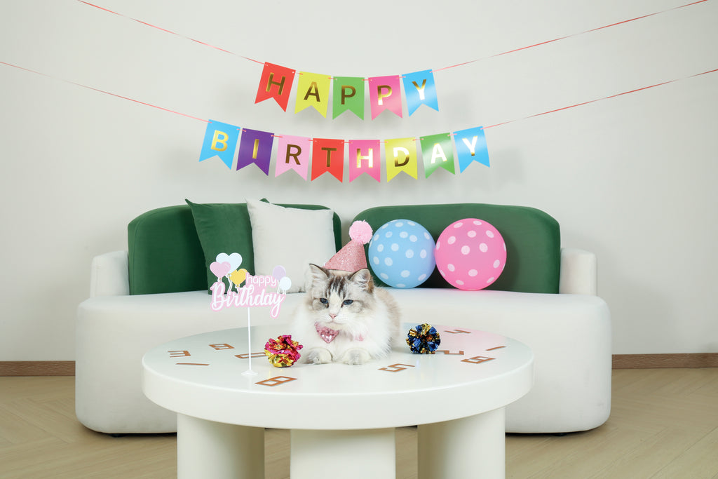 PARTY TIME Cat Lady's set