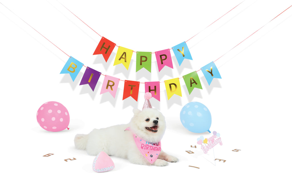 PARTY TIME DOG Lady's set