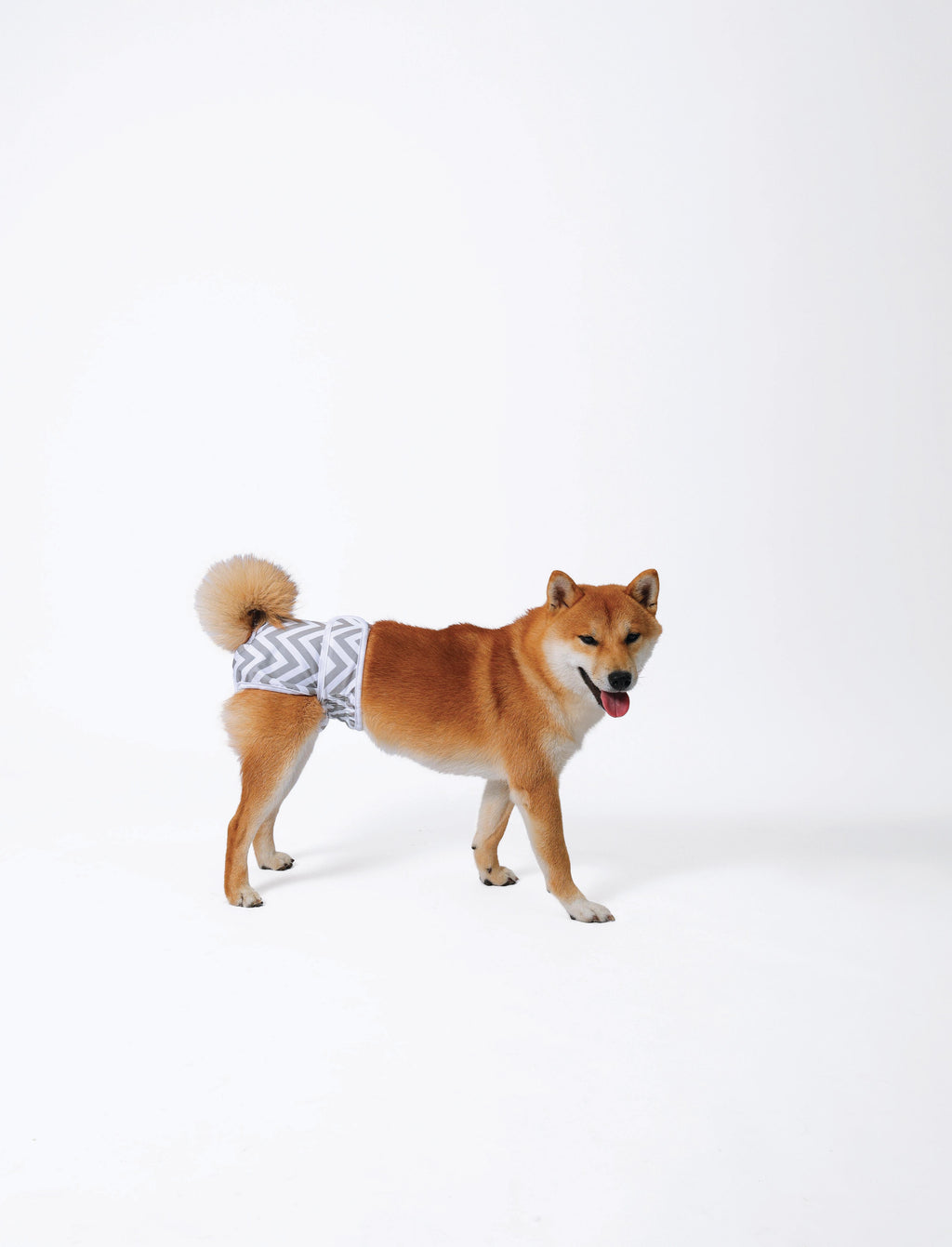 WASHABLE DIAPERS - Female Dog
