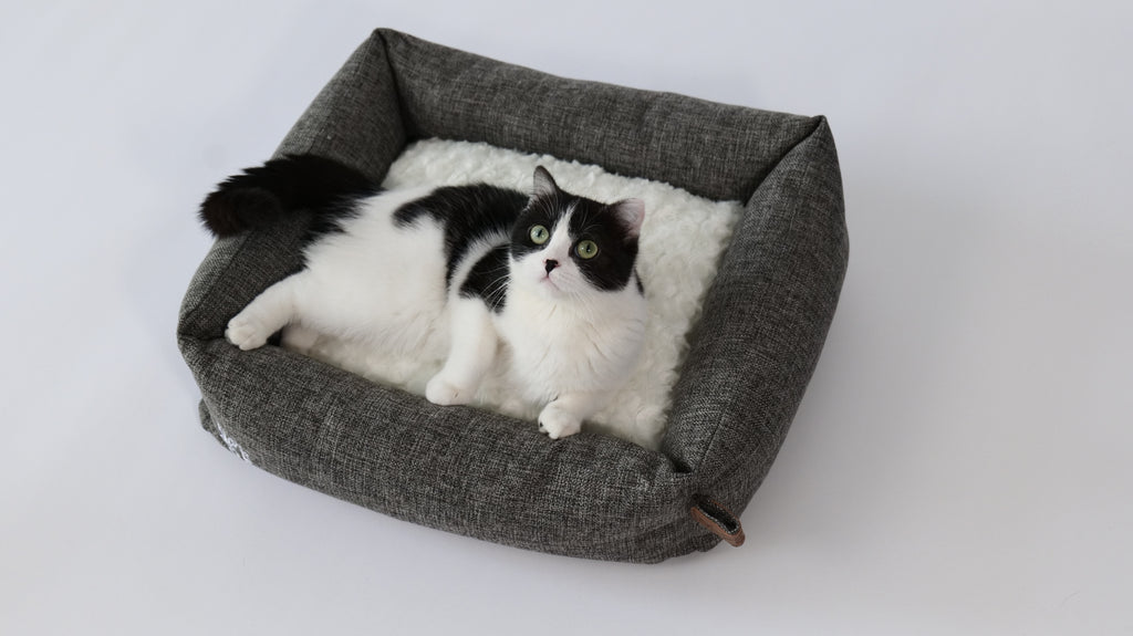 OLERON Basket Dark Grey