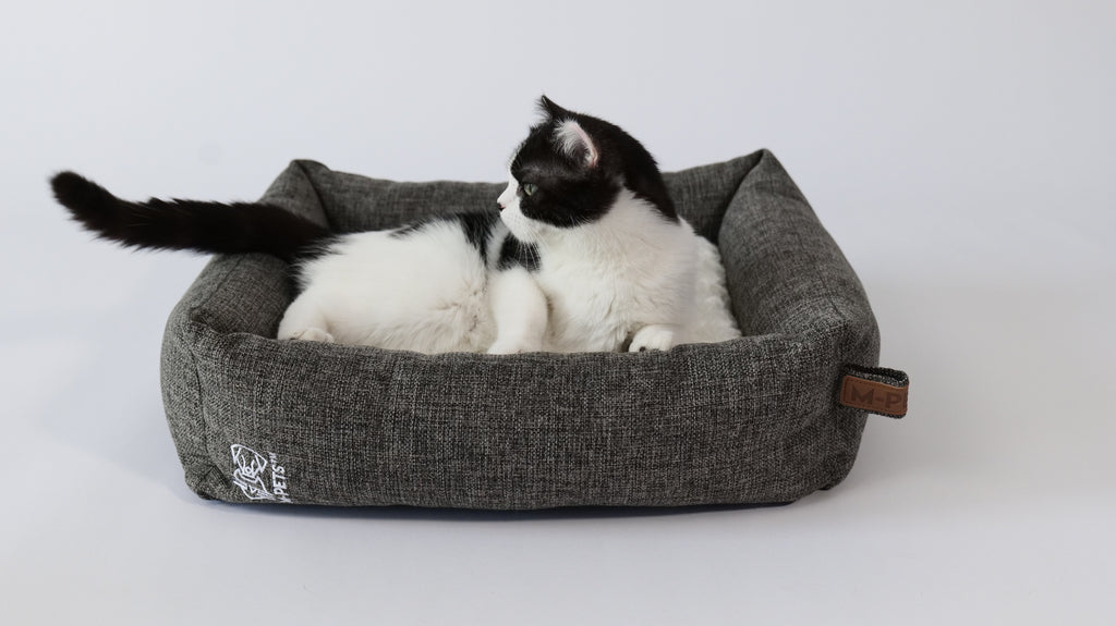 OLERON Basket Dark Grey