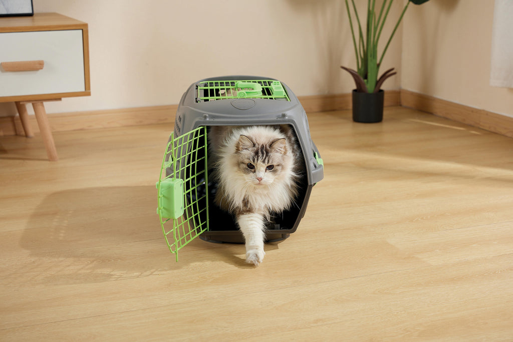 ECO GIRO Carrier