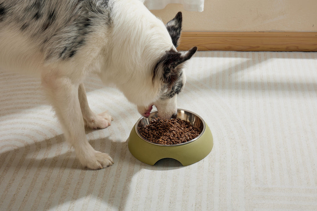 Eco Bamboo Bowl - Olive