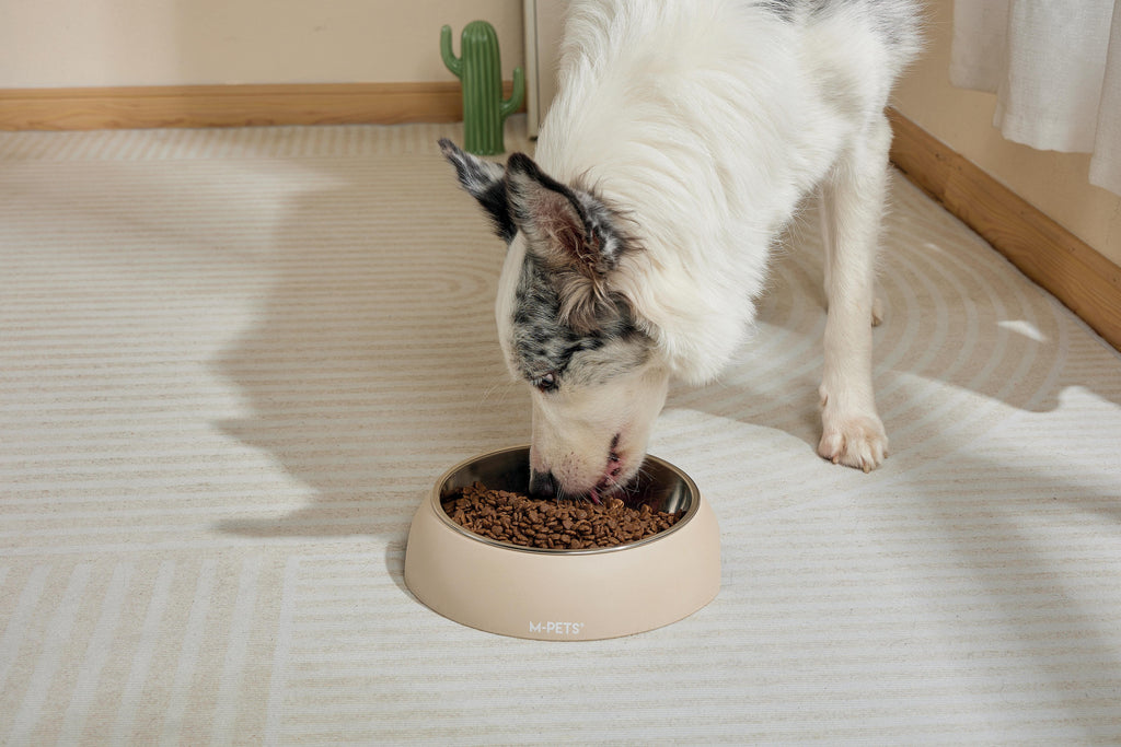 Eco Bamboo Bowl - Sand
