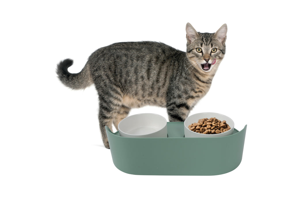 ALTITUDE Double Raised Pet Bowl