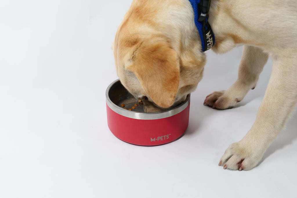 ESKIMO Double Wall Bowl Red