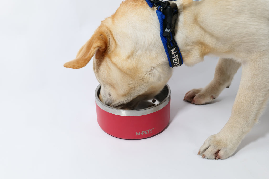 ESKIMO Double Wall Bowl Red