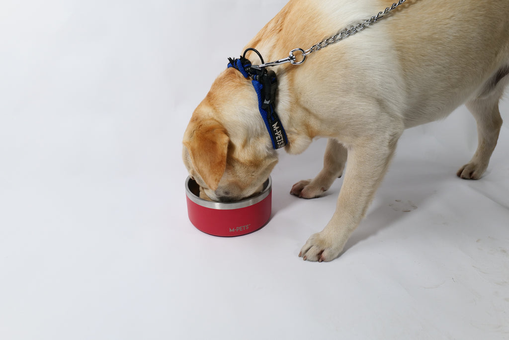 ESKIMO Double Wall Bowl Red