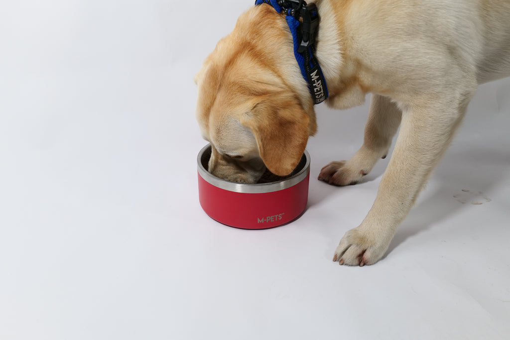 ESKIMO Double Wall Bowl Red