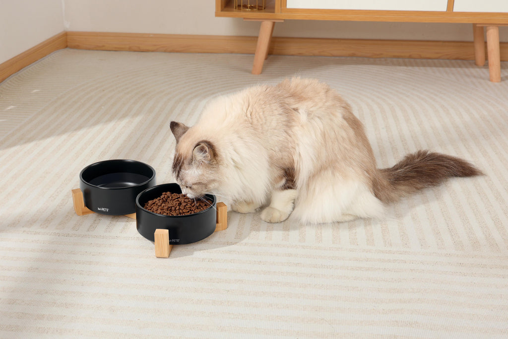 OPERA Ceramic Bowls with Bamboo Stand Black