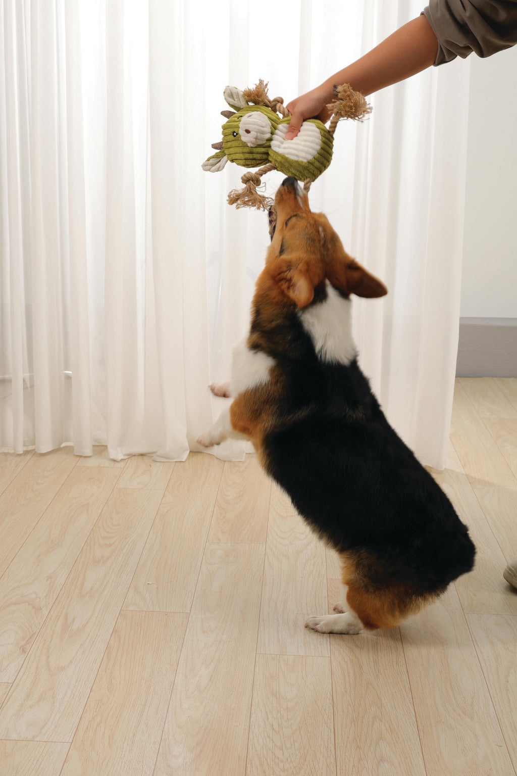 Jouet pour chien Rosie ECO