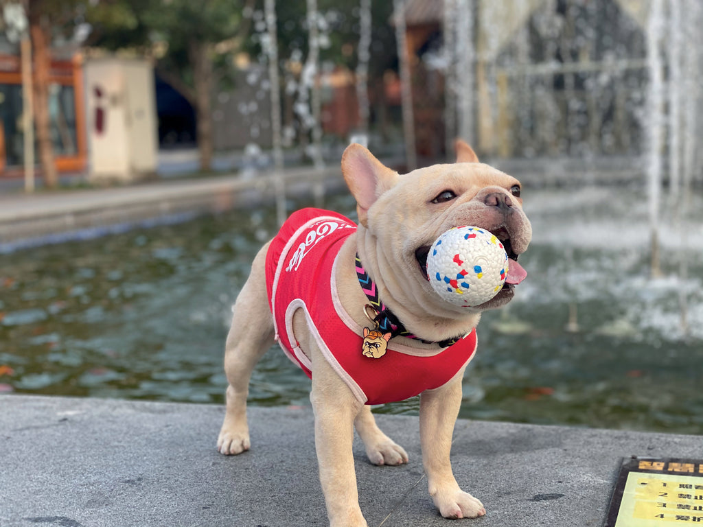 BLOOM BALL - Mixed color