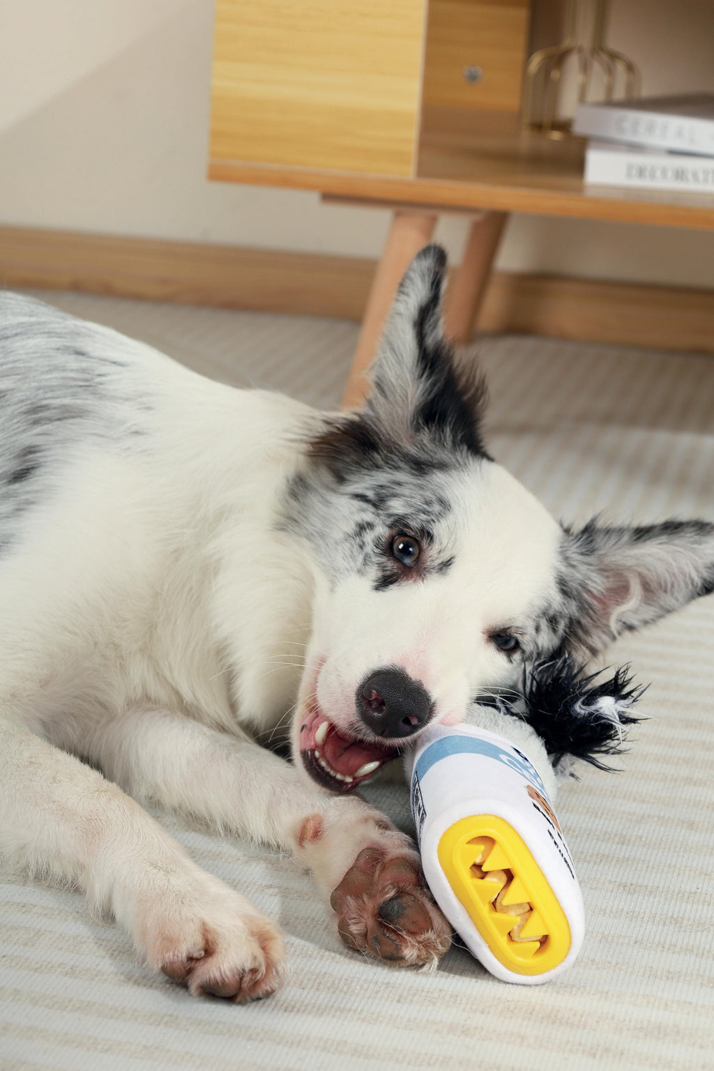 Snack Attack food dispenser dog toy- FLORA