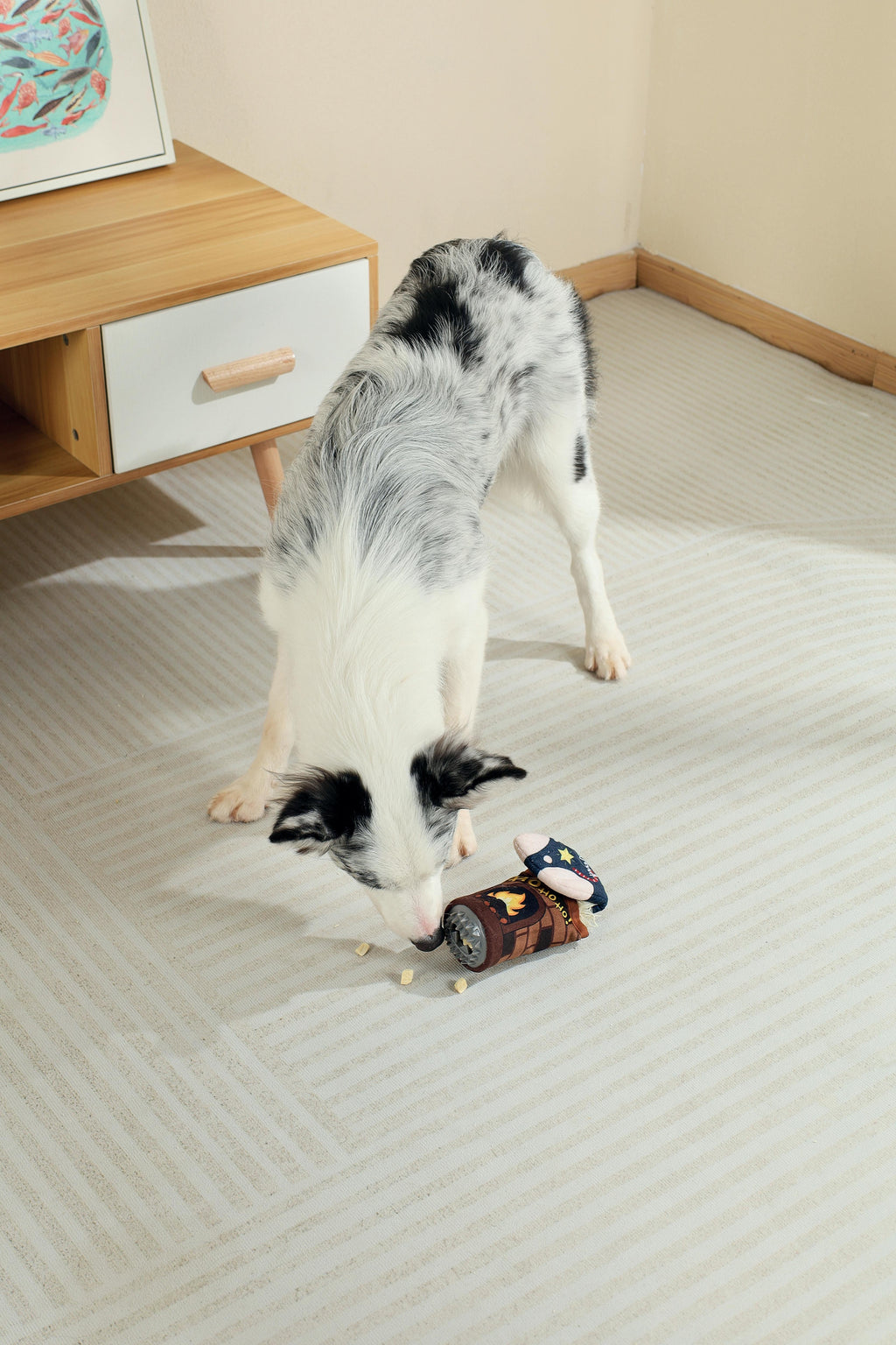 Christmas Snack Attack dog toy - Socks