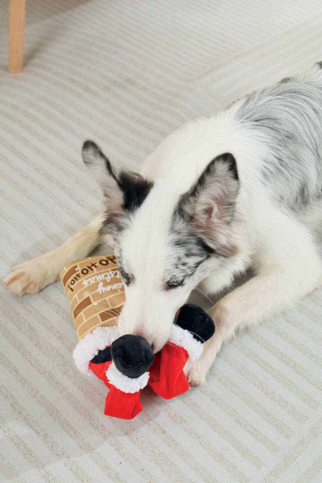 Christmas Snack Attack dog toy -  Surprise