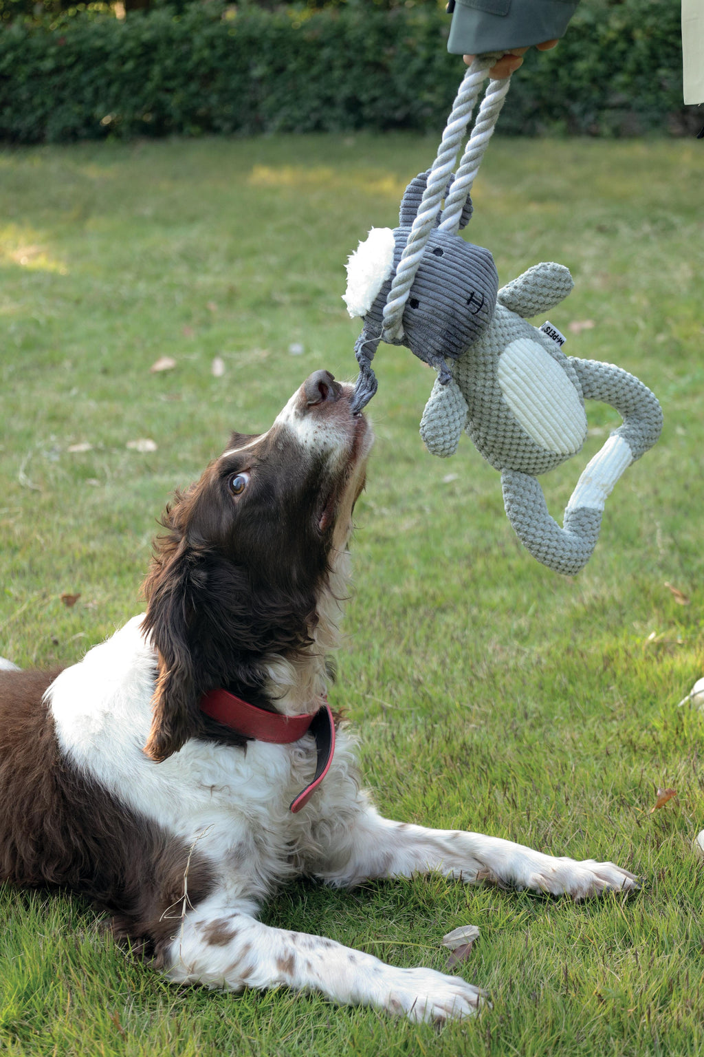 Chewtopia ECO Dog Toy - Sheep