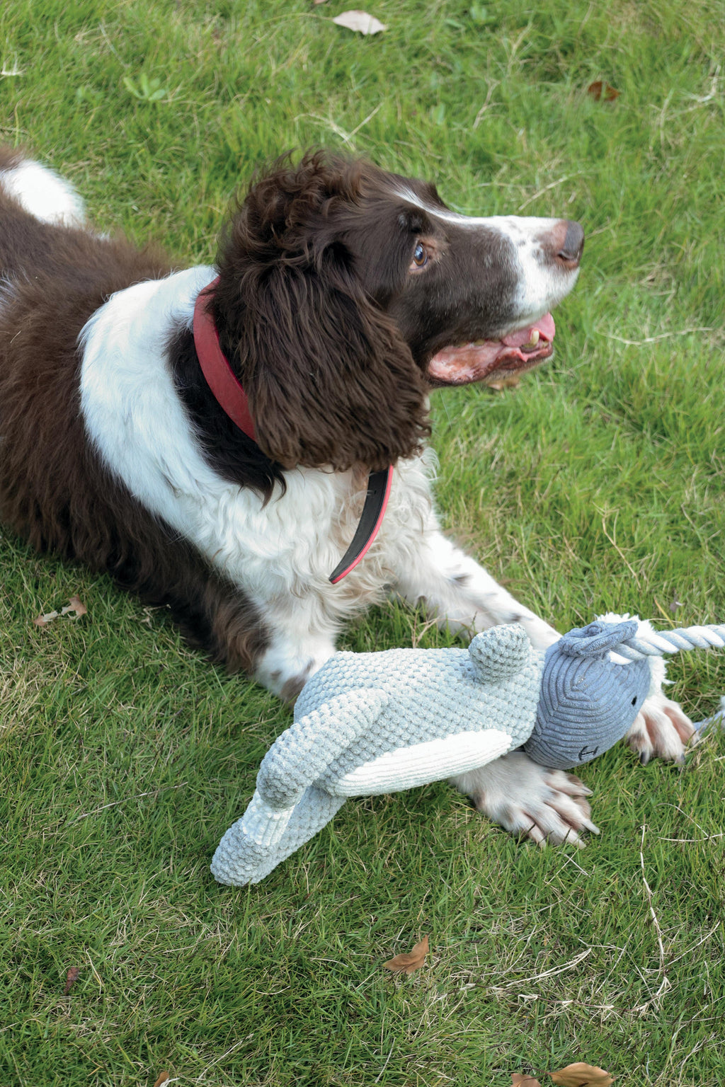 Chewtopia ECO Dog Toy - Sheep