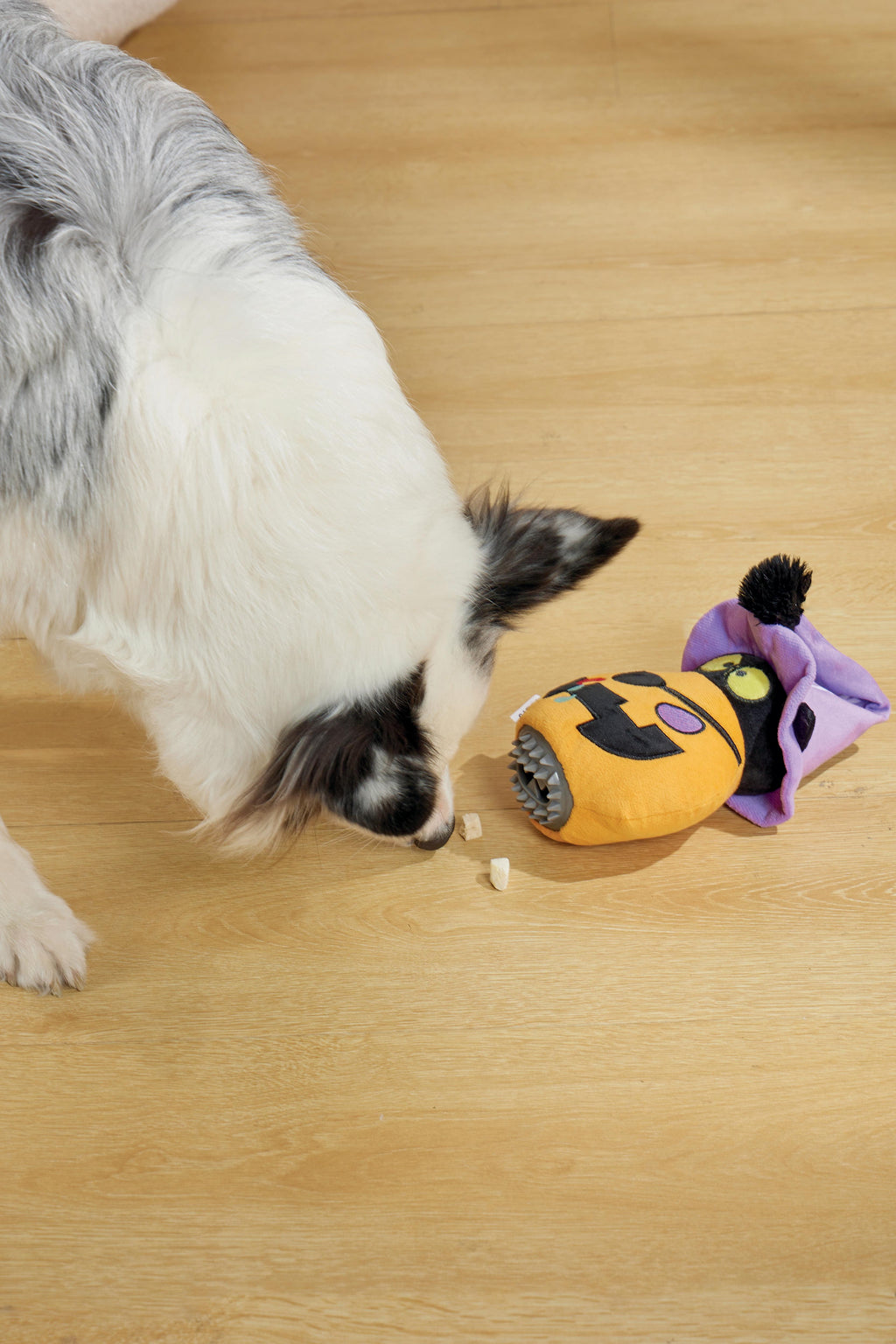 Halloween Snack Attack Dog Toy - Pumpkin