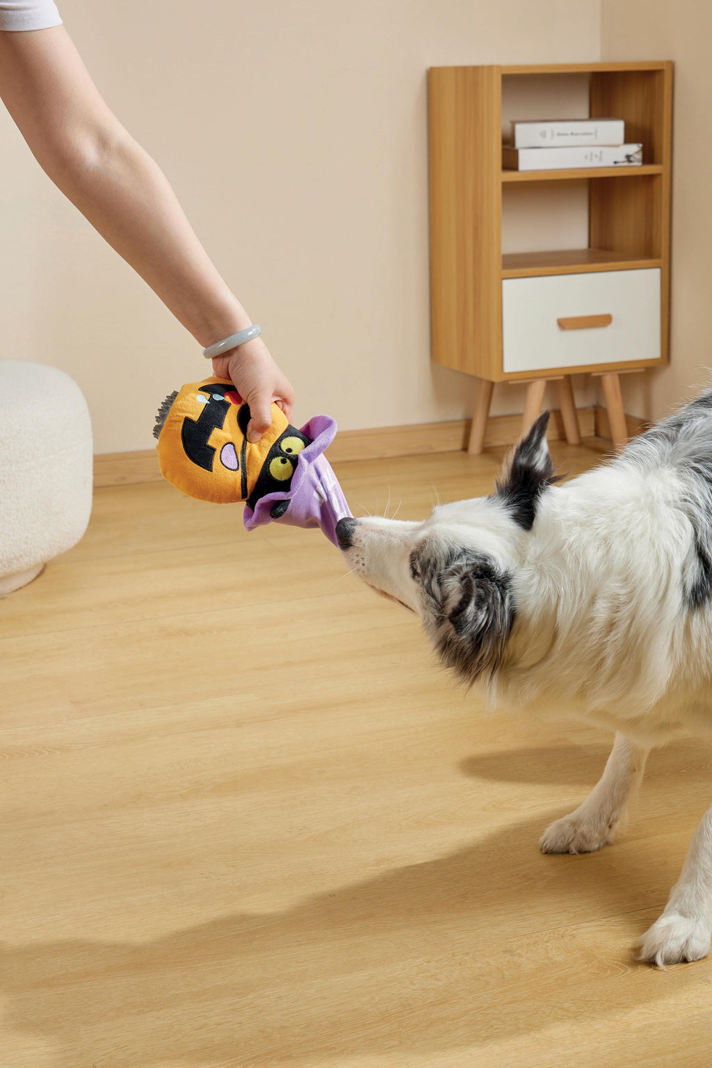 Halloween Snack Attack Dog Toy - Pumpkin