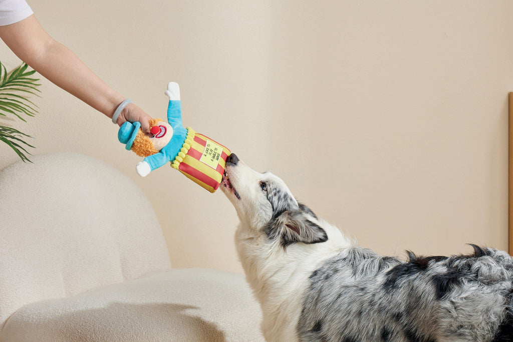Joyful Snack Attack Dog Toy - Circus