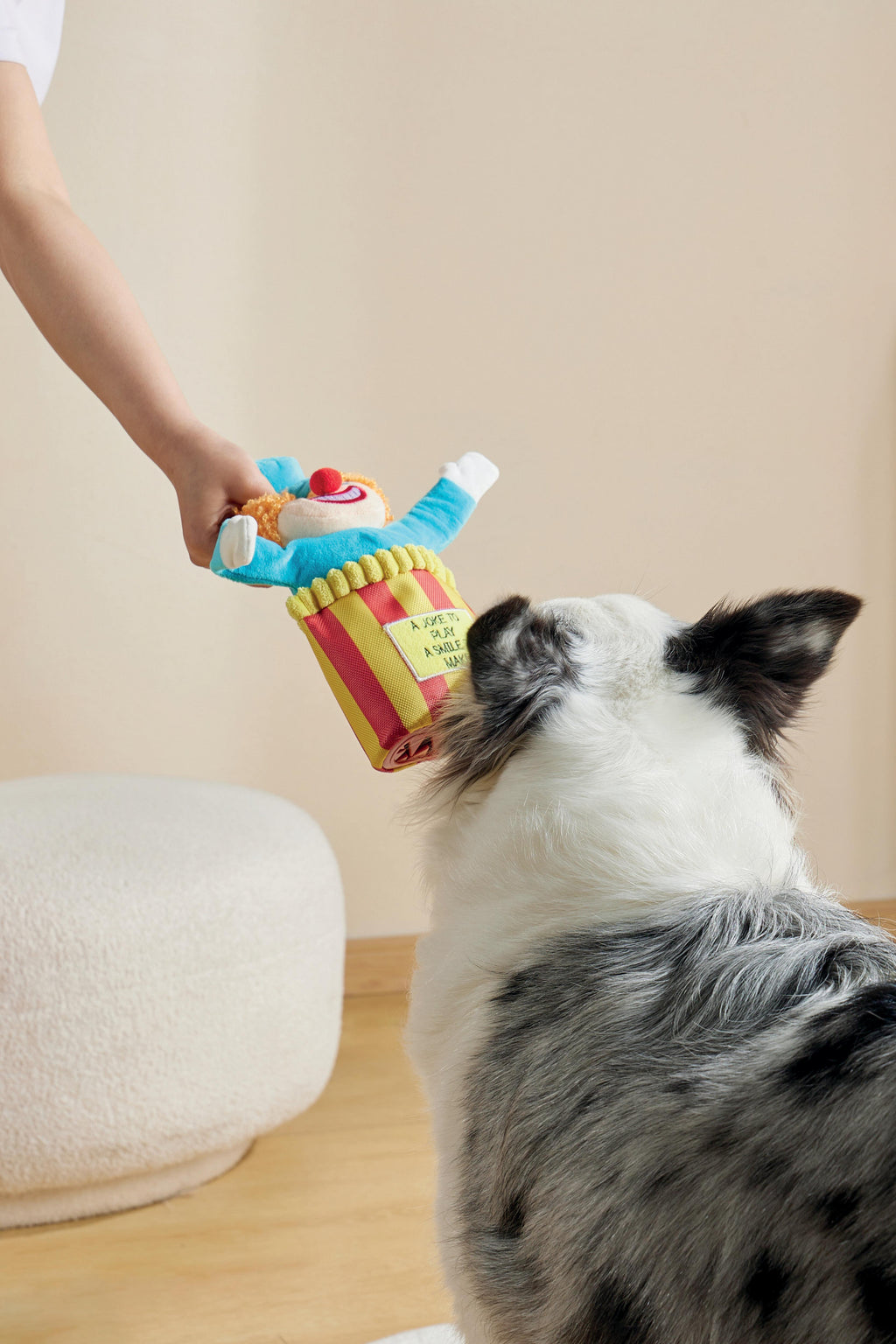 Joyful Snack Attack Dog Toy - Circus